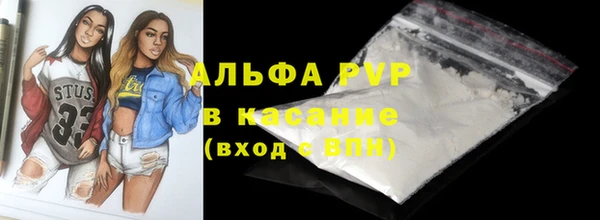 СК Покачи