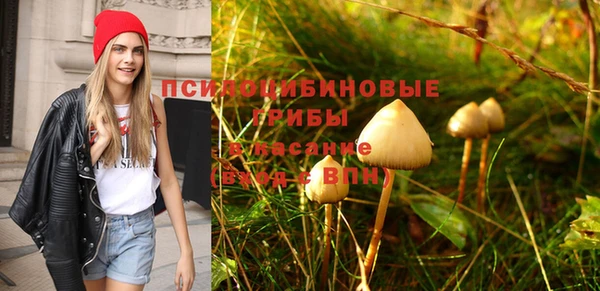 тгк Абдулино