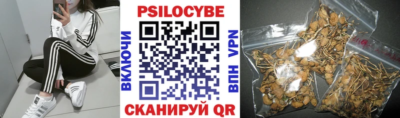 Псилоцибиновые грибы Psilocybe  Отрадный 